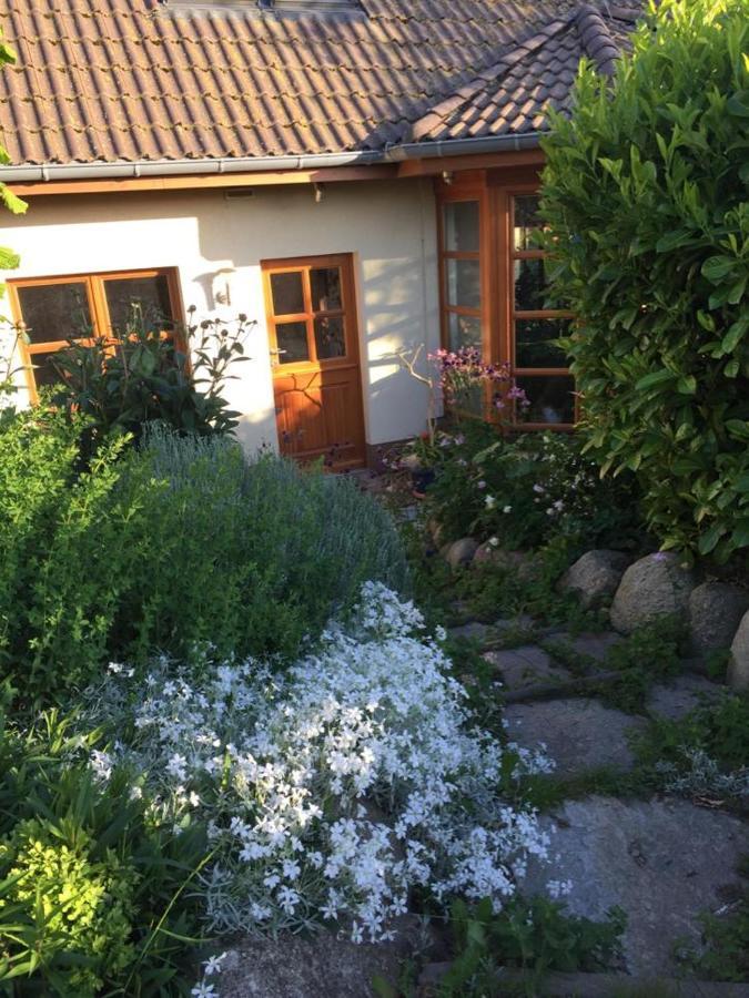 Ferienwohnung Stockrose Миддельхаген Экстерьер фото